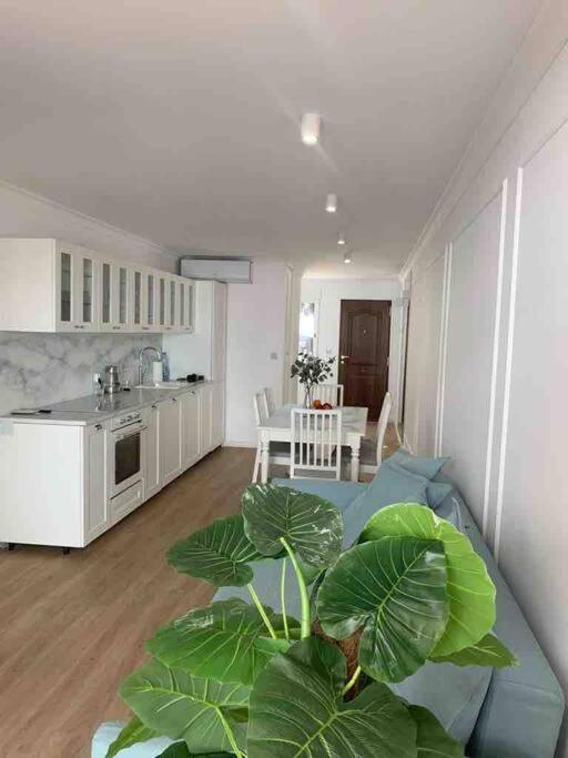 Flaming Apartment 4F Torrevieja Buitenkant foto